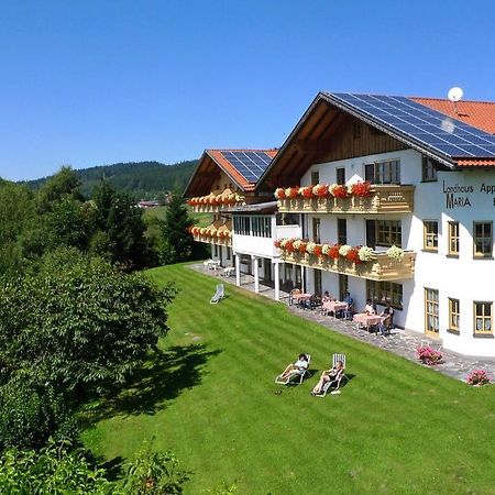 Landhaus Maria Bed&Breakfast Hotel Regen Bagian luar foto
